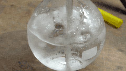 File:Water-triple-point-20210210.gif