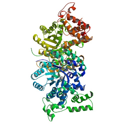 File:Crystal Structure of Oxaloacetate Decarboxylase Na+ Pump.jpg