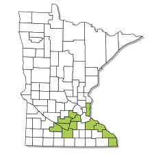 Minnesota Distribution map of the Smooth softshell turtle.png