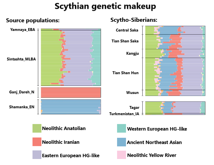 File:Scythian genetic makeup.png