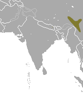 Chinese Highland Shrew area.png