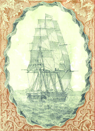 File:Novara-expedition-report-book-cover-1865.jpg