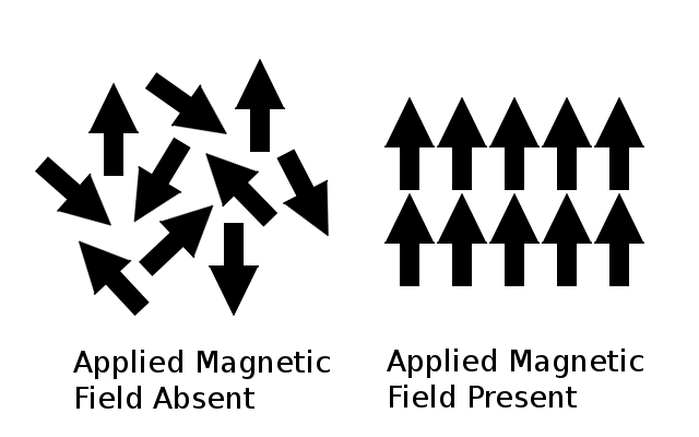 File:Diagram of Paramagnetic Magnetic Moments.png