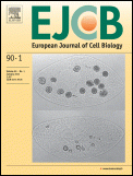 European Journal of Cell Biology.gif