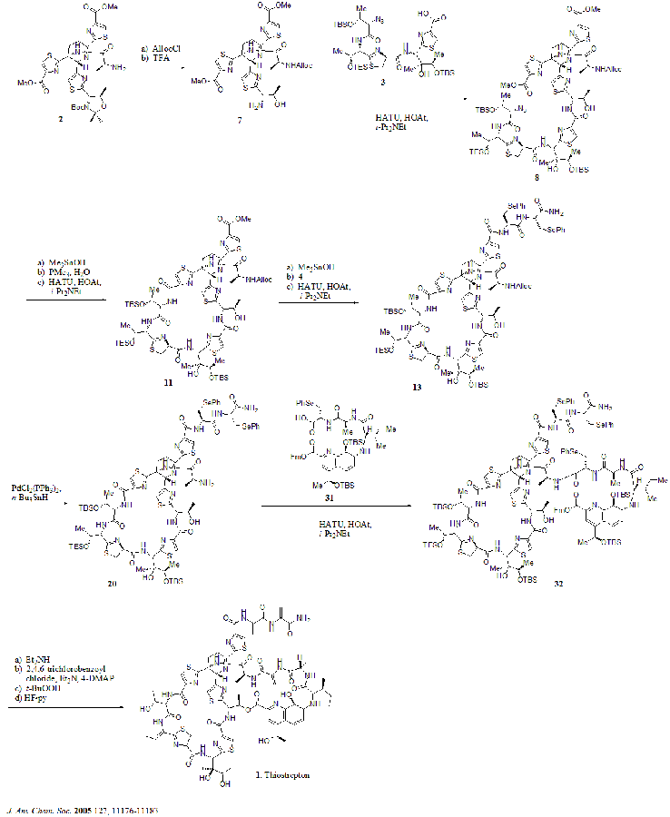 Total synthesis of thiostrepton.png