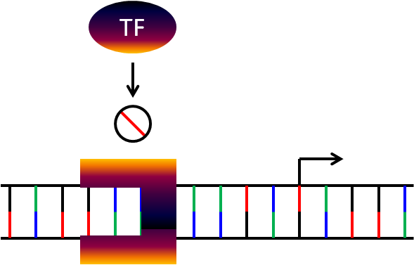 File:Synthetic polyamide mechanism b.png