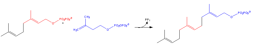 Cholesterol-Synthesis-Reaction9.png