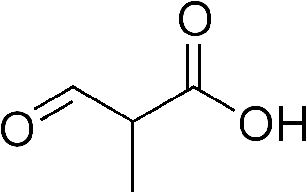 File:2-methyl-3-oxopropanoic acid.png