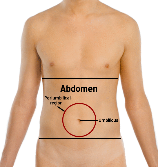 File:Abdomen-periumbilical region.png