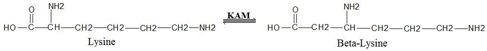 KAM Labeled reaction1.jpg