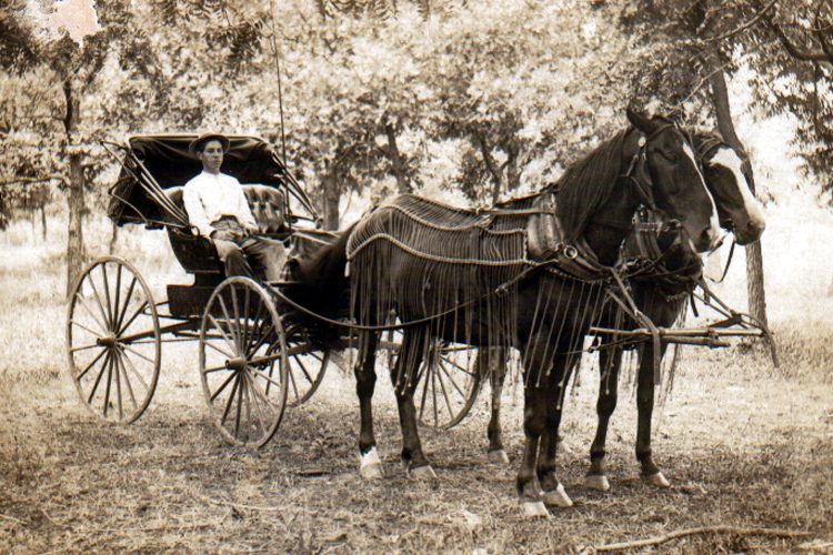 File:Horse and buggy 1910.jpg