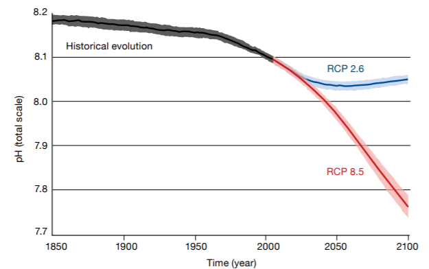 File:Ocean Acidification under Low and High Carbon Emission Scenarios.png