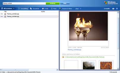 File:Windows Desktop Search v3.01 image preview.png