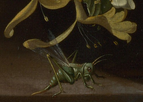 File:Grasshopper detail in Rachel Ruysch Flowers in a Vase c 1685.jpg
