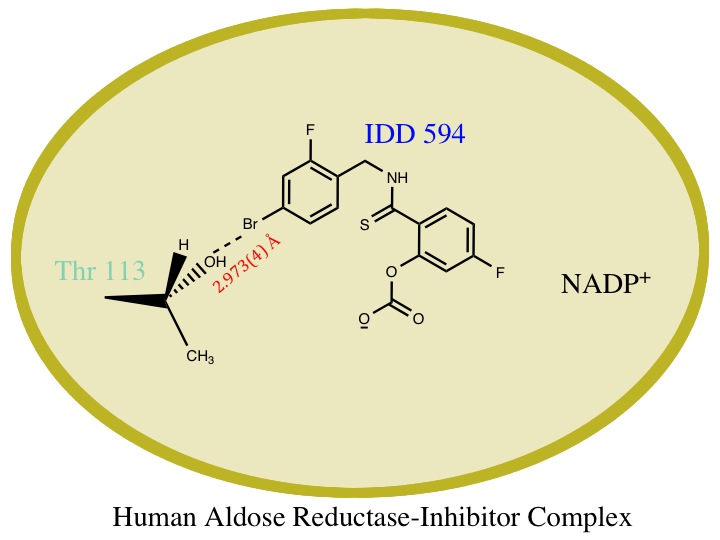 File:IDD594 protein-inhibitor complex.jpg