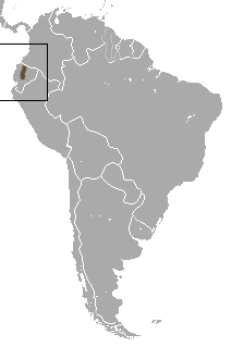 Ecuadorean Small-eared Shrew area.png