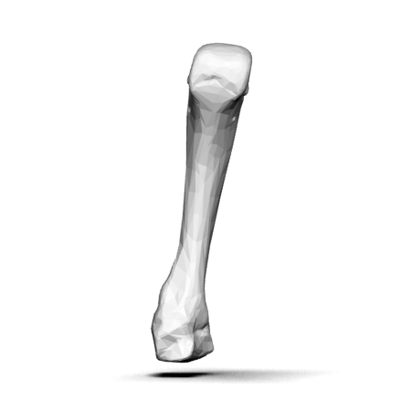 File:Fourth metacarpal bone (left hand) - animation02.gif