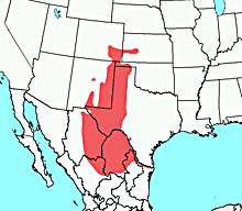 Map of the distribution of Cratogeomys Castanops.gif