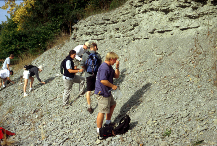 File:Outcrop of Upper Ordovician rubbly limestone and shale, southern Indiana.jpg