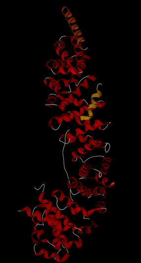 File:TCF7L2 beta-catenin BCL9.png