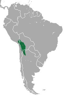 Andean Hairy Armadillo area.png