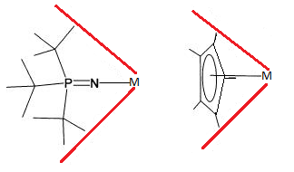 Cone angles of a tert-butyl phosphinimide ligands and cyclopentadienyl ligands when bonded to a metal centre