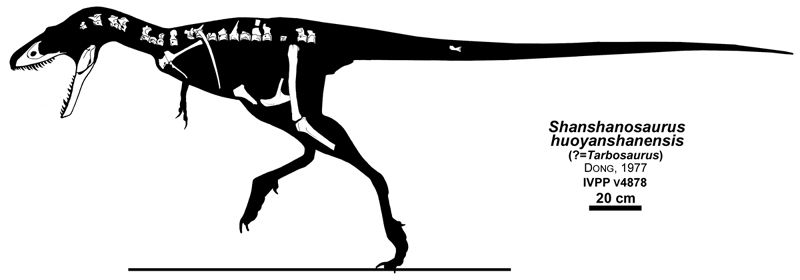 File:Shanshanosaurus headden.jpg