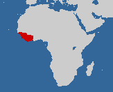 Range is from Guinea-Bissau east through southern Guinea, Sierra Leone, and Liberia east to at least 70 km east of the Bandama River in Côte d'Ivoire.