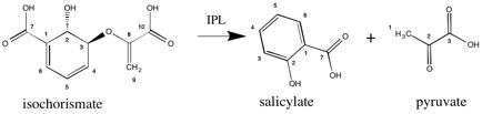 File:Isochorismate Pyruvate lyase Reaction Scheme.jpg