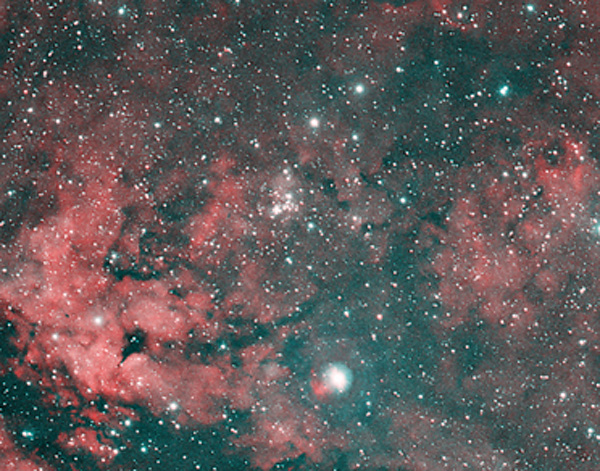File:NGC 6910.png