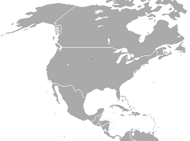 File:Black-footed Ferret area.png
