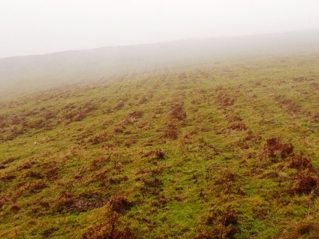 File:Bleak hillside with bracken - geograph.org.uk - 1618991.jpg