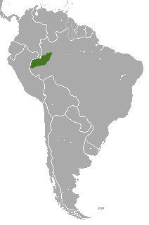 Red-headed Titi area.png