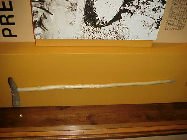 File:Root digging stick at Rocky Reach Dam Museum 2.jpg