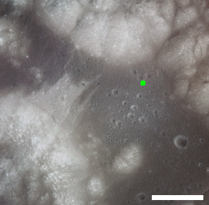 File:Van Serg crater location AS17-151-23251.jpg