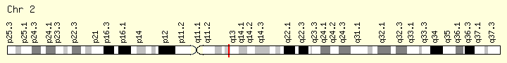 The red line shows the CCDC138 locus on chromosome 2q12.3.