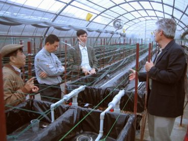 File:Aeroponic-greenhouse-Vietnam-2006.jpg