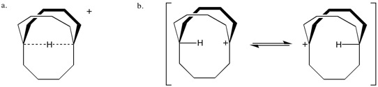 The classical and non-classical bonding of the in-bicyclo[4.4.4]-1-tetradecyl cation. The non-classical model (a) shows one hydrogen bridged molecule while the classical model (b) would imply rapid interconversion between two distinct carbocations and lack the hydrogen bridge. McMurry confirmed the presence of the 3-center 2-electron bond and the hydrogen bridged species by NMR.