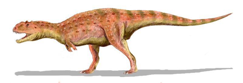 File:Majungasaurus BW.jpg