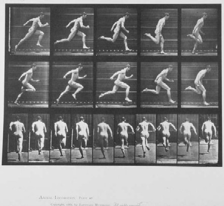 File:Muybridge runner.jpg