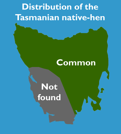 File:Tasmanian Native-hen-Dist.gif