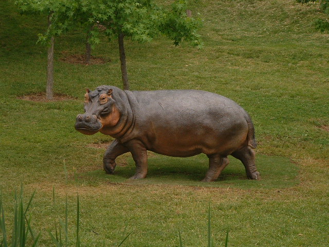 File:Hipopotamus gorgops.jpg