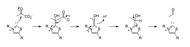 File:Pyruvate decarboxylase mechanism.png