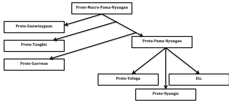 File:Proto-Macro-Pama-Nyungan languages diagram.png