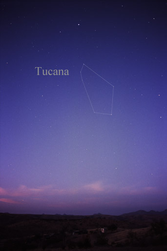 File:Constellation Tucana.jpg