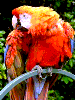 File:MSX2 Screen8 palette sample image.png