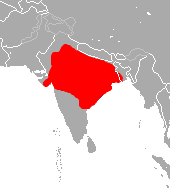 Bengal Gray Langur area.png