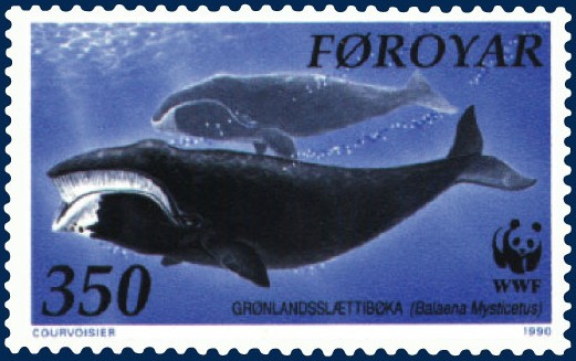 File:Faroe stamp 198 Baleana mysticetus.jpg