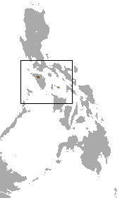 Mindoro Shrew area.png