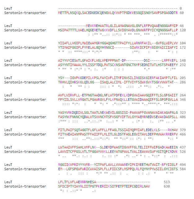 Sequence comparison between LeuT and human serotonin transporter, generated using Clustal Omega.
